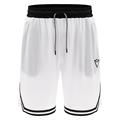 Kalamitsi II Icon shorts WHT L Basketshorts - Unisex